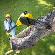 Best Commercial Tree Services  in Bells, TX